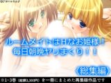 ルームメイトはHなお姫様！毎日朝晩ヤリまくり！！  <総集編>